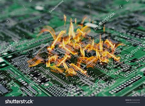 The Bottom of the Dumpster